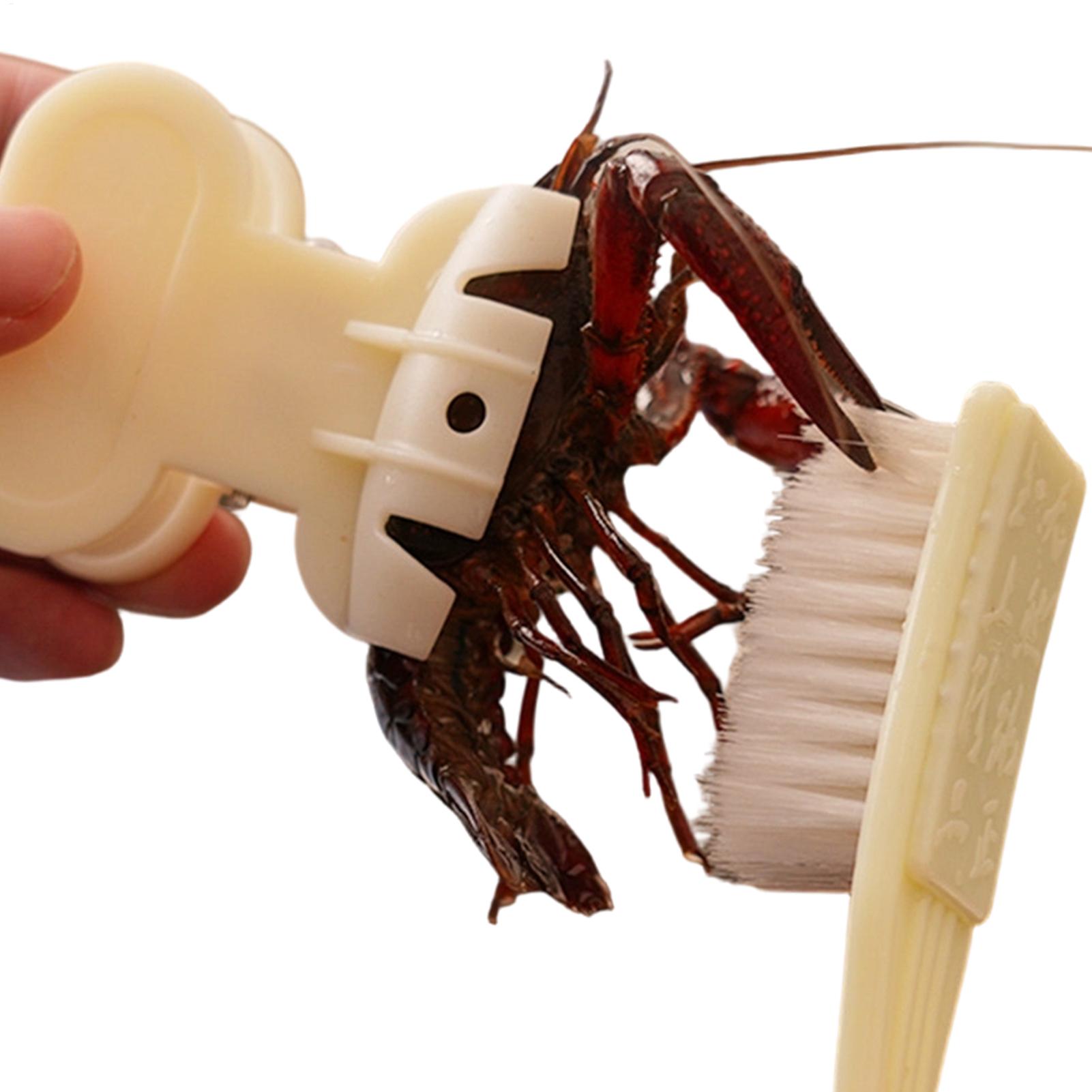 3 sets Crayfish Cleaning Brush - Meal Prep Seafood ulasan dan harga